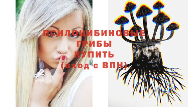 2c-b Арсеньев