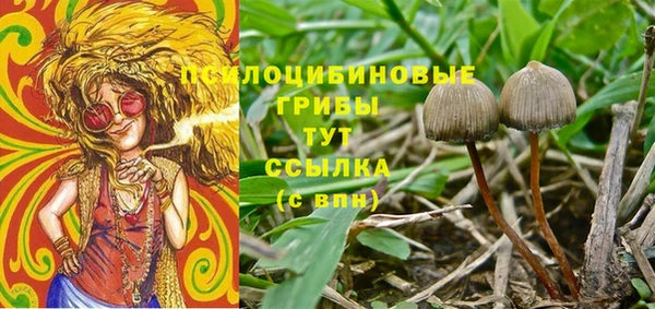 2c-b Арсеньев