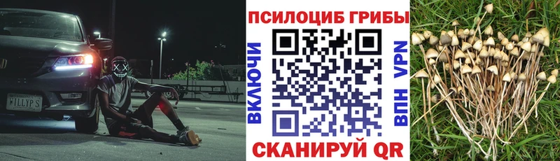 кракен зеркало  что такое наркотик  Пустошка  Галлюциногенные грибы Psilocybe 